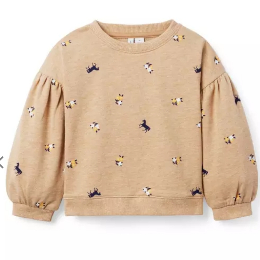 Janie And Jack Floral Horse Sweatshirt Size 6 Girls